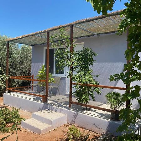 Vine Veranda Palaiochora Bagian luar foto