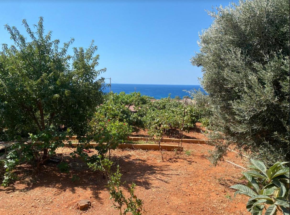 Vine Veranda Palaiochora Bagian luar foto