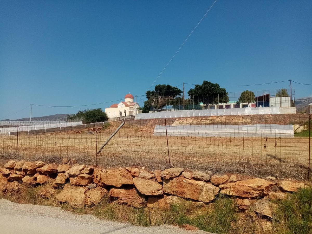 Vine Veranda Palaiochora Bagian luar foto