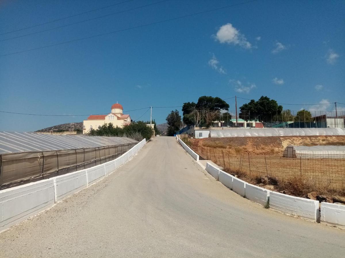 Vine Veranda Palaiochora Bagian luar foto